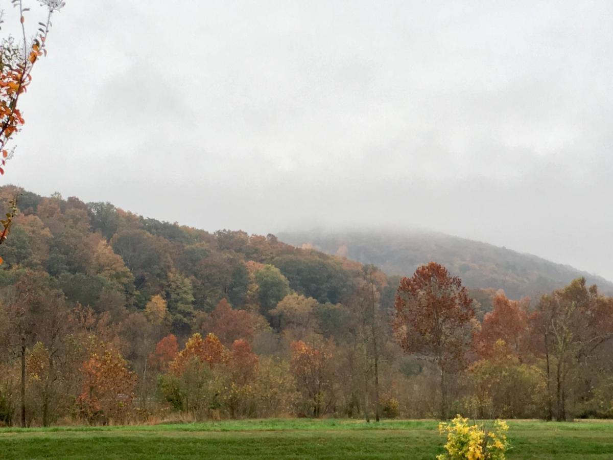 Budget Inn Near Westrock Covington Bagian luar foto